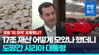 시리아 아사드 일가 은닉 재산 추적…\