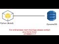 AWS Boto3 - How to put item into AWS Dynamodb table?