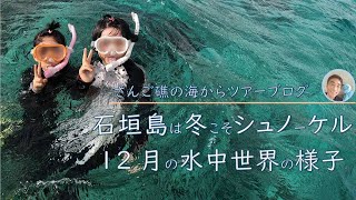 石垣島は冬こそシュノーケリング。12月20日　シュノーケルツアーの様子