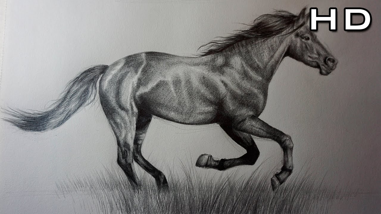 Cómo Dibujar Un Caballo Realista A Lápiz Paso A Paso - TUTORIAL - YouTube