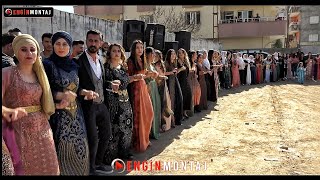 Rojhat Ciziri - Silopi Düğünü. Taşkın Ailesinin Nişanı - Taşkın Taşkın'nin Nisani Part.1