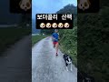 보더콜리 견주의 자격 보더콜리 강아지 힐링 bordercollie 동물 반려견 개 달리기 러닝 shorts