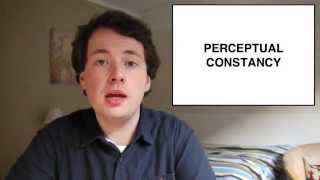 Perceptual Constancy