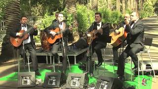 Sin Tí  (Trio Los Panchos) - Mencey Romántico