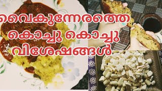 വൈകുന്നേരത്തെ കുറച്ച് വിശേഷങ്ങൾ ആയാലോ 🏡 | Evening vlog