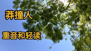 戏曲贯口 莽撞人练习