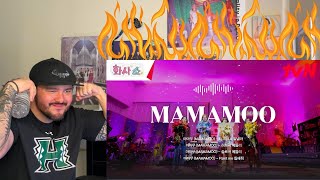 MAMAMOO's Hit Songs Live Collection Reaction!