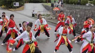 「若狭鳴子連希来里」長浜あざいあっぱれ祭り2018 【ストリート会場】