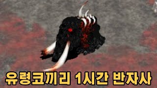 거상 유명계 유령코끼리 1시간 반자사 3회측정