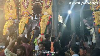 ആരാ ഉയരം കൂടുതൽ പുതുപ്പള്ളി ആണോ puthupalli kesavan tallest elephent eyyal pooram 2024