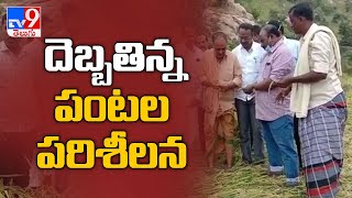 Niver Effect :   పంట నష్టపోయిన రైతులను పరామర్శించిన Minister Sankar Narayana || Anantapuram  - TV9