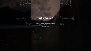 Beshk Allah knows everything ❤️🥺🥺 #viral_video #unfreezmyaccout #fypシ゚ #trendingshorts