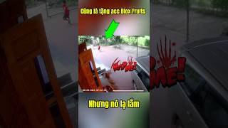 Cũng là tặng acc blox fruits nhưng nó lạ lắm…. #bloxfruits #roblox #shorts