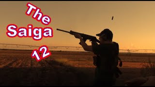 The Saiga 12