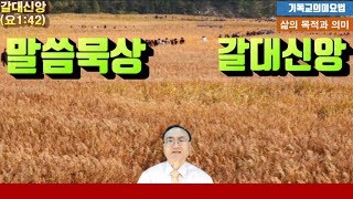 [ 온라인예배 말씀묵상 요1:42 ] 혹시 갈대와 같아서 실망하고 있습니까~