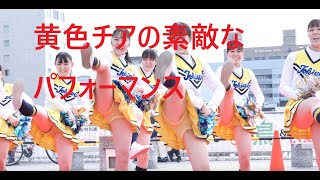 黄色チアの魅力が詰まったダンスパフォーマンス　/ cheer dance