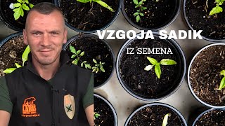 GARDENING - HOW TO PRODUCE SEEDLINGS Vegetables from SEEDS (1st and 3rd day)