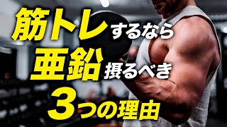 【筋トレ効率アップ】亜鉛と筋トレの相性が良い3つの理由【ビーレジェンド プロテイン】