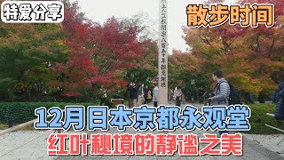 12月日本京都永观堂｜枫叶秘境的静谧之美【4K】12月の日本京都永観堂｜紅葉の秘境と静寂の美【4K】December Kyoto Eikando【4K】