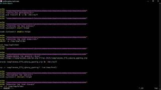 Bash Script Variable | How To Write and Understand Bash