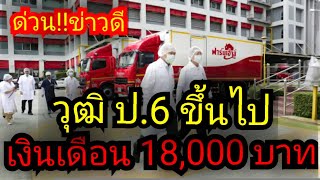 ฟาร์มเฮ้าส์ รับสมัครงาน เงินเดือน 18,000 บาท รับวุฒิ ป.6 ขึ้นไป ข่าวดี รับสมัครด่วนหลายพื้นที่