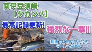 NO.73 南伊豆【タカンバ】（後編）過去最高記録！裏切らない地磯 2023年6月上旬