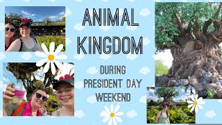 DCP Adventures | DAK | President Day Weekend