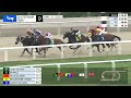 Gulfstream Park Carrera 9 - 21 de Mayo 2023