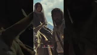 how jesus christ was born-Merry Christmas|#christmas #merrychristmas #fyp#jesus #shorts #viralvideo