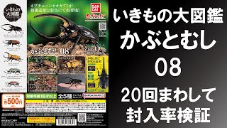 【20回まわして封入率検証】 いきもの大図鑑 かぶとむし08 ネプチューンオオカブトやヒルスシロカブトはどれ位ずつ入っているのか？