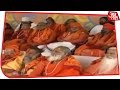 Download दिल्ली के रामलीला मैदान में VHP की धर्म सभा. क्या VHP के शक्ति प्रदर्शन से होगा मंदिर का रास्ता साफ? In Mp4 3Gp Full HD Video