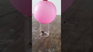 Balloon science experiment #shorts