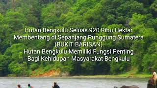 Selamatkan Hutan Bengkulu