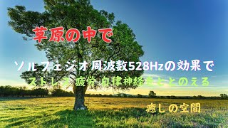 ソルフェジオ周波数 528Hzを聴きながら草原で心穏やかに