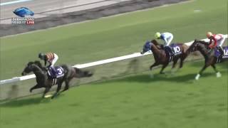 2017.04.30 Tenno Sho (Spring) (JPN) - Kitasan Black