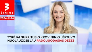 Atsiranda liudininkų, kurie teigia matę liepsnas lėktuvui dar skrendant / TV3 Žinios