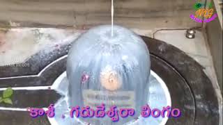 KASHI , Varanasi GARUDESWARA LINGAM //  కాశీ ,వారణాసి లో గరుడేశ్వర లింగము