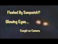 Flashed By Sasquatch? Glowing Eyes… Caught on Camera