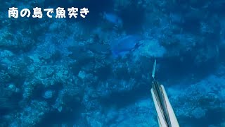 昼間の魚突き「spear fishing」 NO.3