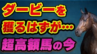 ダービーを獲るはずが…超高額馬の現在地