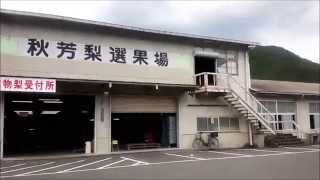 山口県　美祢市秋芳町　秋芳梨選果場