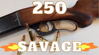 Video # 20 – 250 Savage in a Savage 99 Rifle