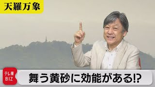 海を渡ってやってくる黄色い影…　舞う黄砂に効能がある!?【久保田解説委員の天羅万象】(121)（2023年3月31日）