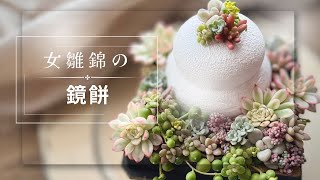 『鏡餅』女雛錦を使って寄せ植え　多肉植物　多肉寄せ植え　お正月