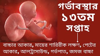 গর্ভাবস্থার ১৩ তম সপ্তাহ। সপ্তাহ অনুযায়ী গর্ভাবস্থা ১৩। Pregnancy 13 week signs and symptoms in bang