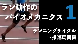 ラン動作のバイオメカニクス１　~ランニングサイクルから推進局面まで~