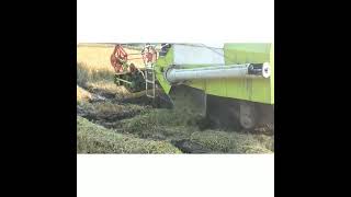 നെല്ല് കൊയ്യുന്നത് എങ്ങനെ എന്ന് കണ്ടാലോ | Rice harvest machine #kerala #riceharvesting