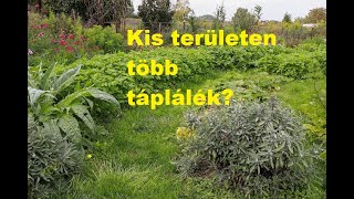 Kis területen több táplálék?