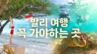 발리 길리여행 총정리, 낭만의 섬 가는 방법, 거북이 스노클링, 가성비 숙소 + 구글맵 공유 (발리 한달살기 3편)