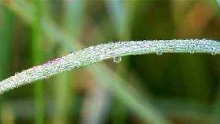 শীতের সকাল || Winter Morning in Bangladesh